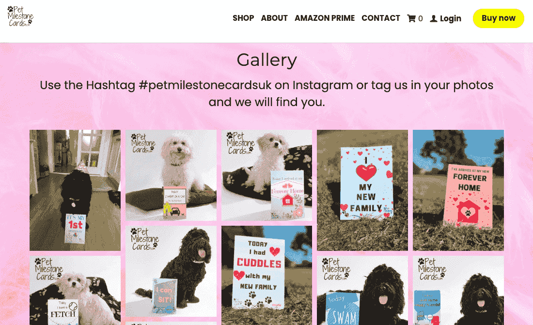 Campaña de Instagram de tarjetas de hitos para mascotas