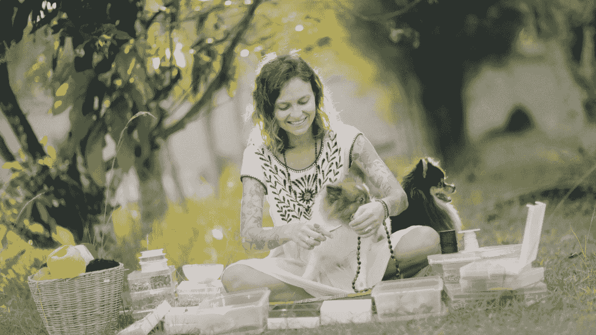 Pet Care Websites 