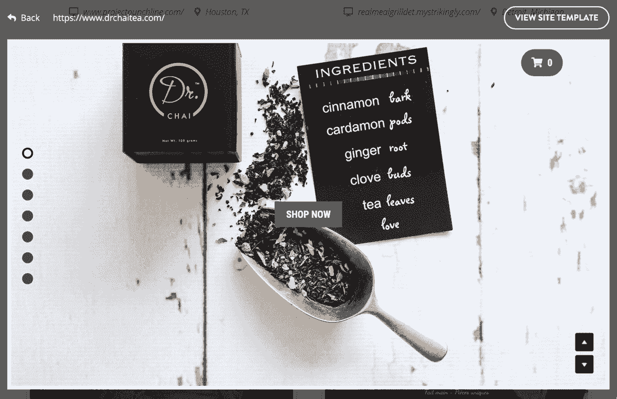 Dr. Chai Tea: Sitio web de usuario protegido de forma sorprendente