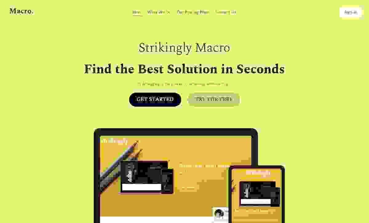 plantilla de Strikingly Macro website