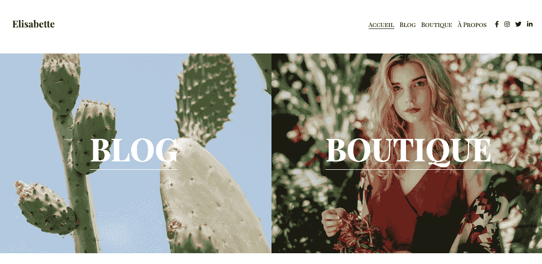 Modèle succulent : modèle de blog de vente au détail pour réussir