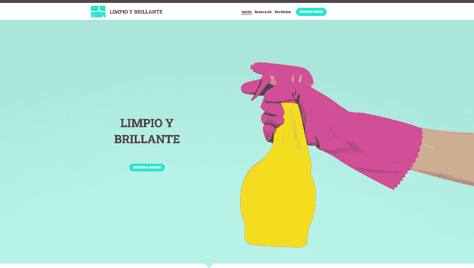 Limpieza y brillo: plantilla de servicio profesional de Strikingly