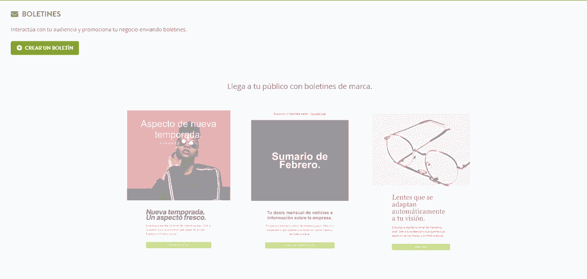 Artículo destacado del boletín informativo Strikingly