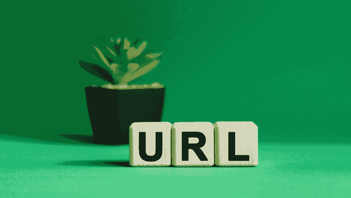 Adresa URL scrisă folosind blocuri cu o plantă în ghiveci în fundal
