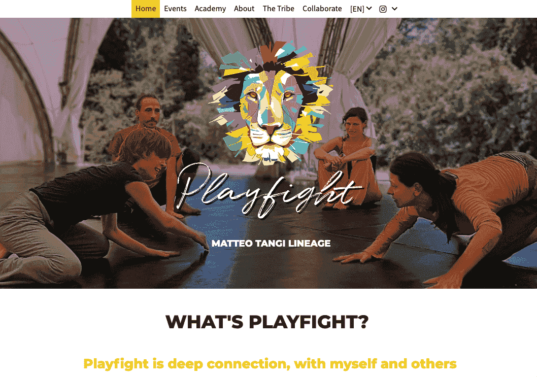 Nombre comercial creativo: Playfight
