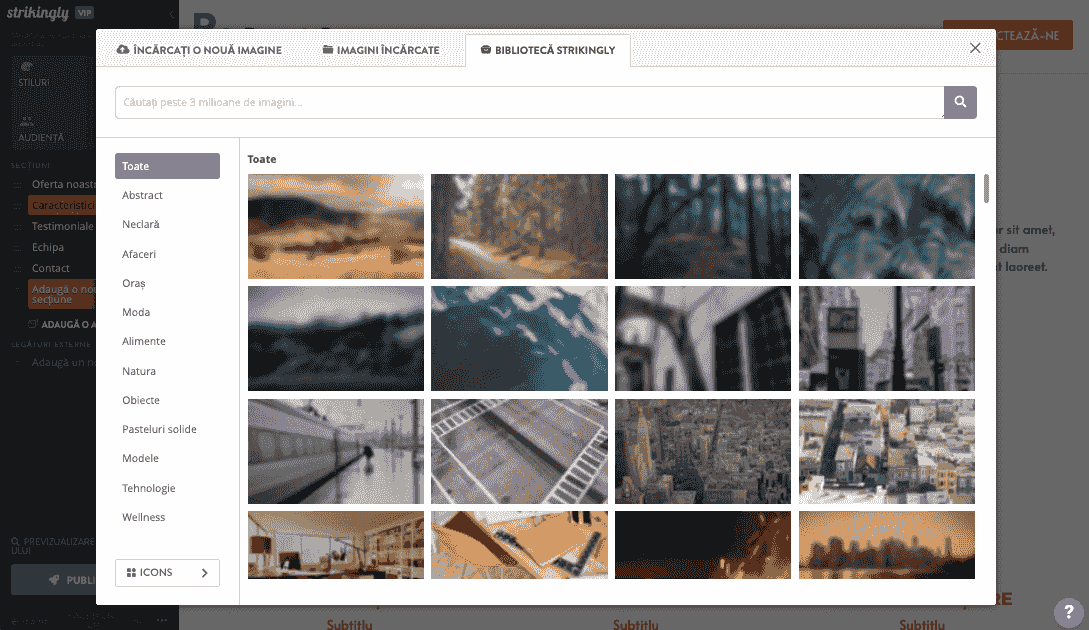 Cele mai bune practici de design web cu Galeria media și instrumentele de editare Strikingly