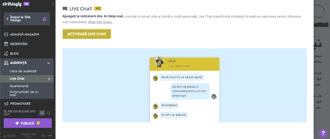 Fereastra de chat live Strikingly