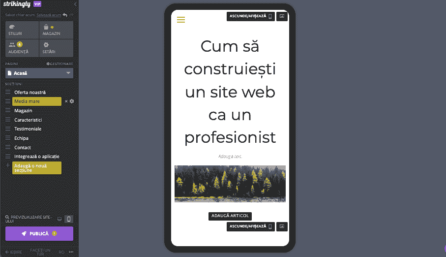 Rolul Strikingly în promovarea pe rețelele sociale - Responsivitate mobilă