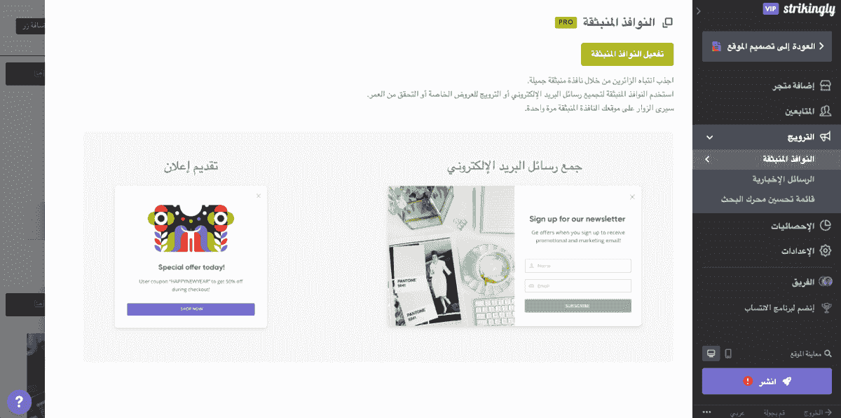 نصيحة لزيادة مبيعات التجارة الإلكترونية - قم بصياغة عروض ترويجية لا تُنسى