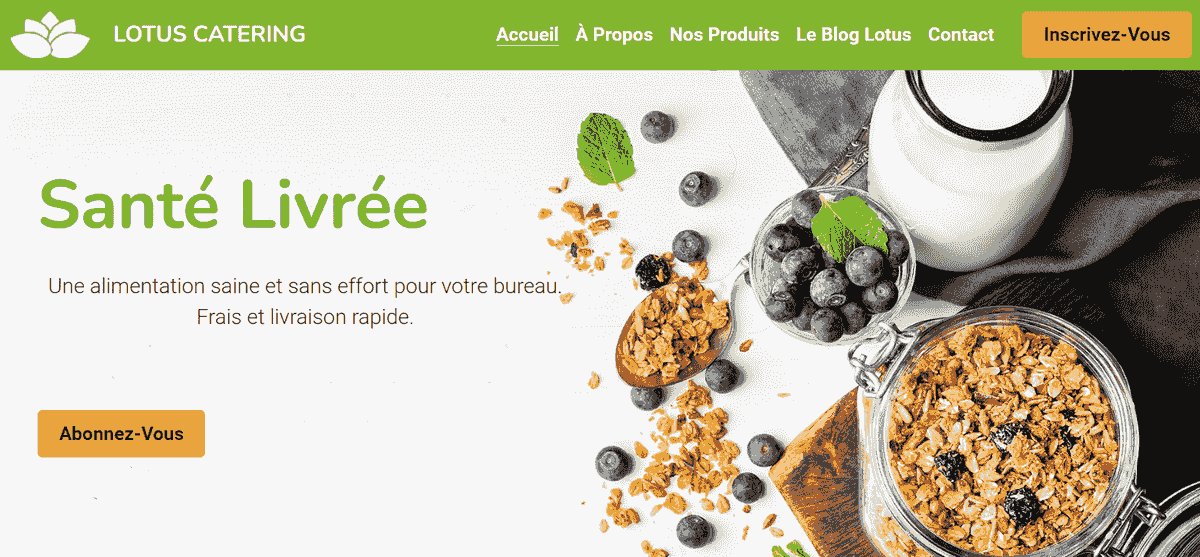 Types d'hébergement Web