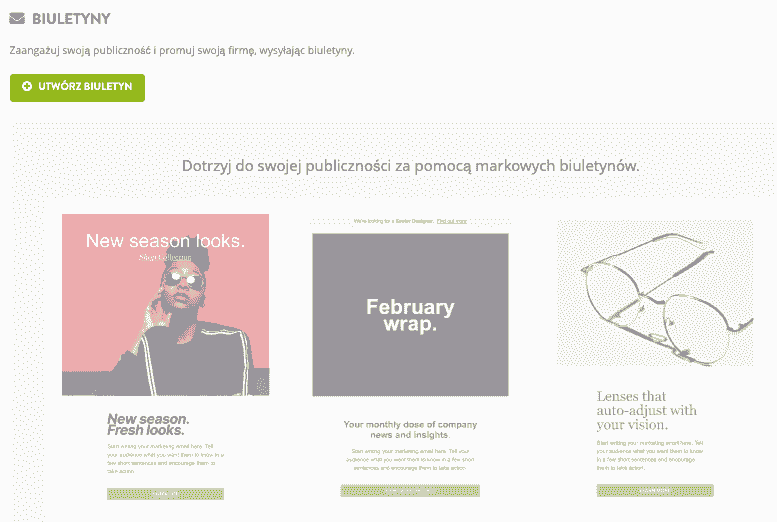 Strikingly - Funkcja Newslettera
