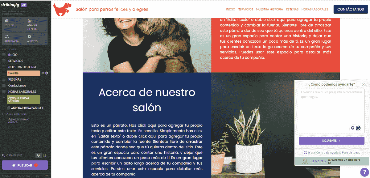 Orientación y Soporte