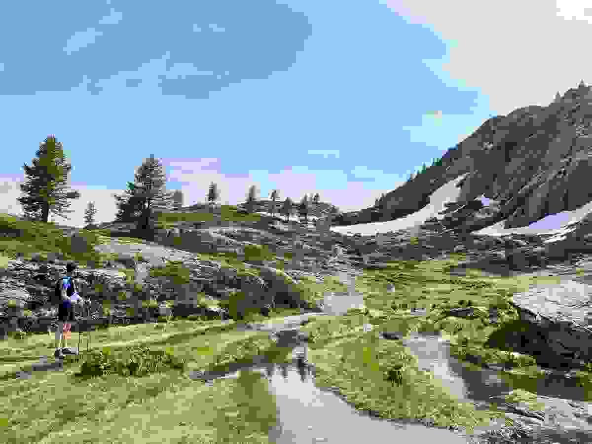 Section image