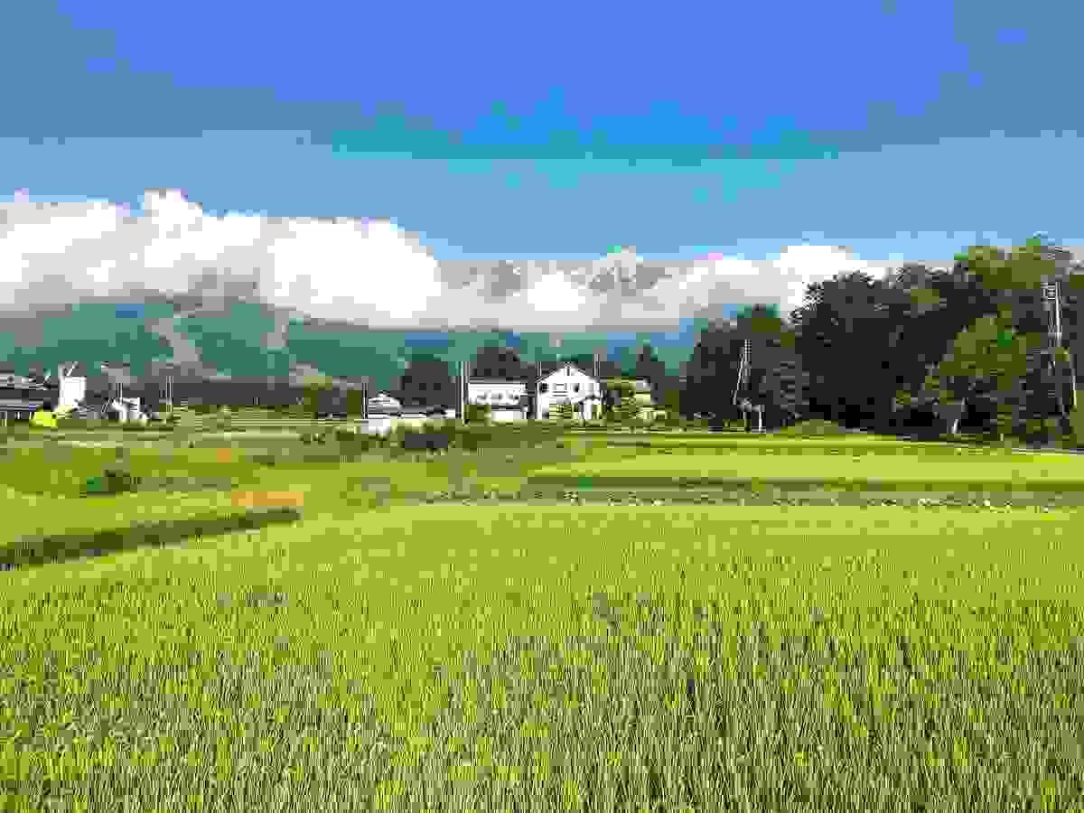 Section image