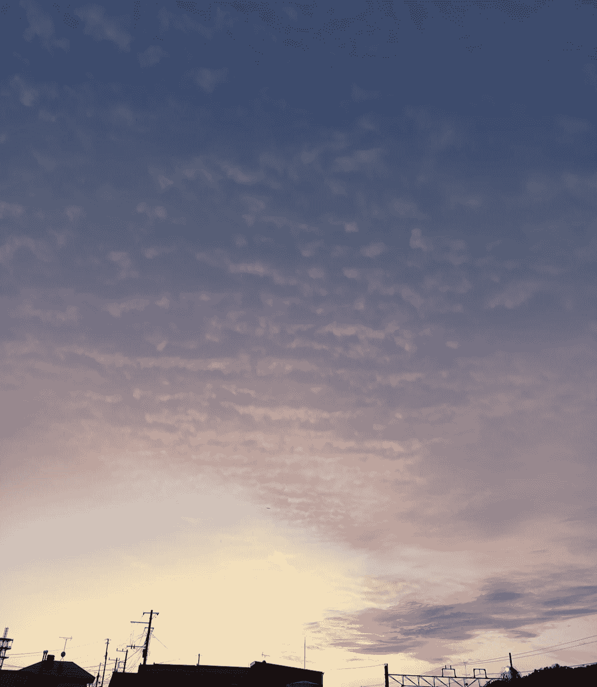 broken image