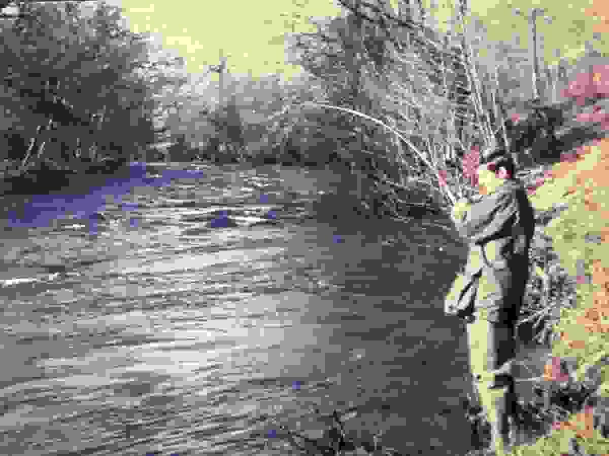 Section image