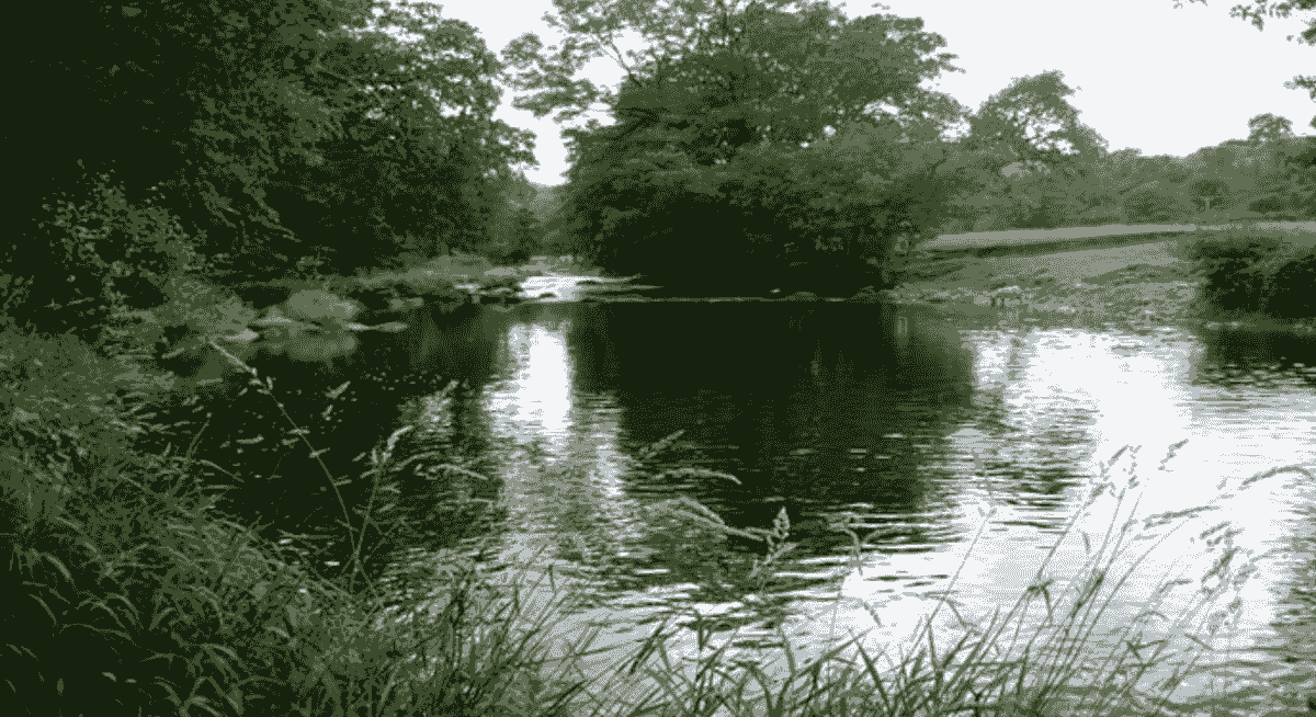 Section image