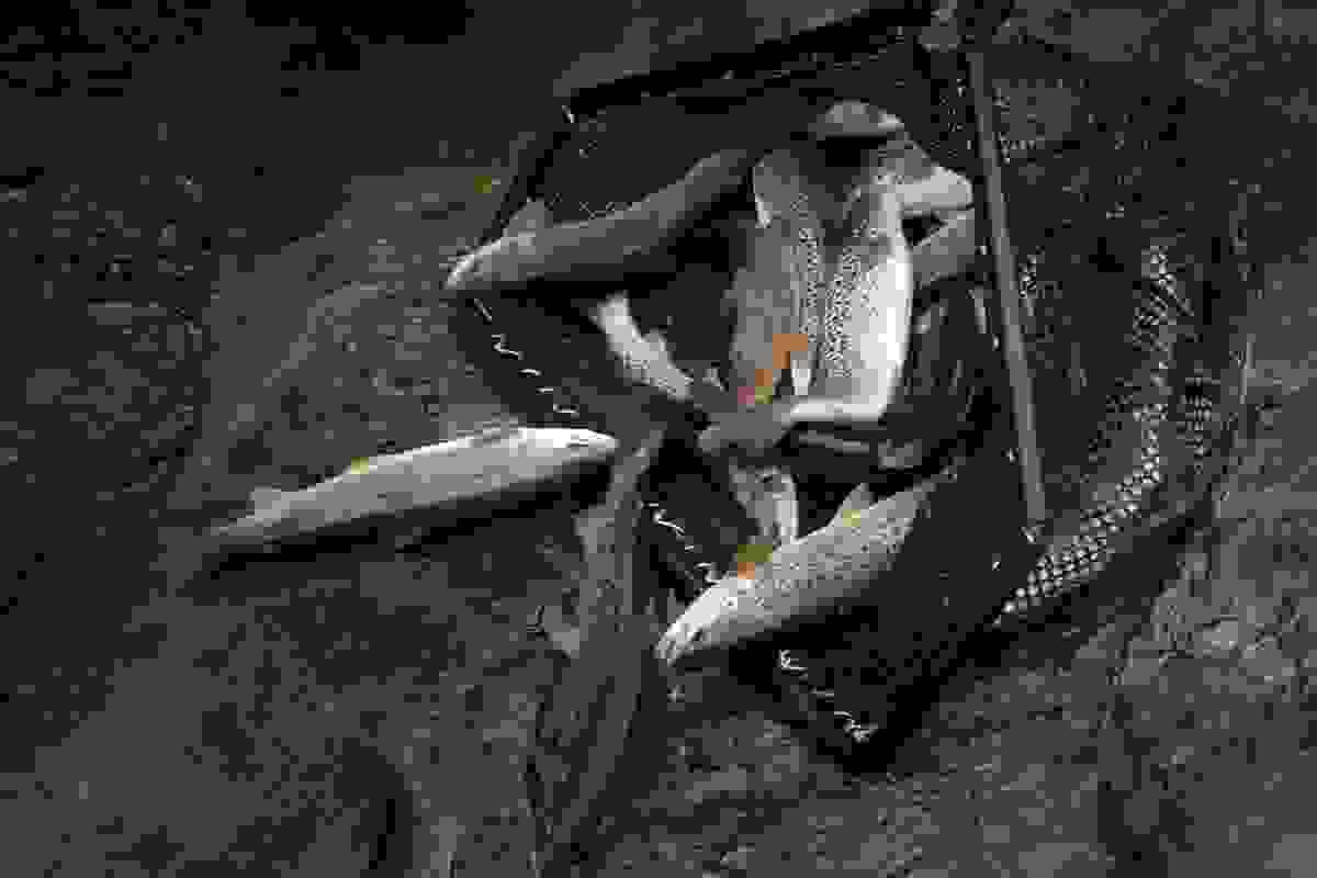 Section image