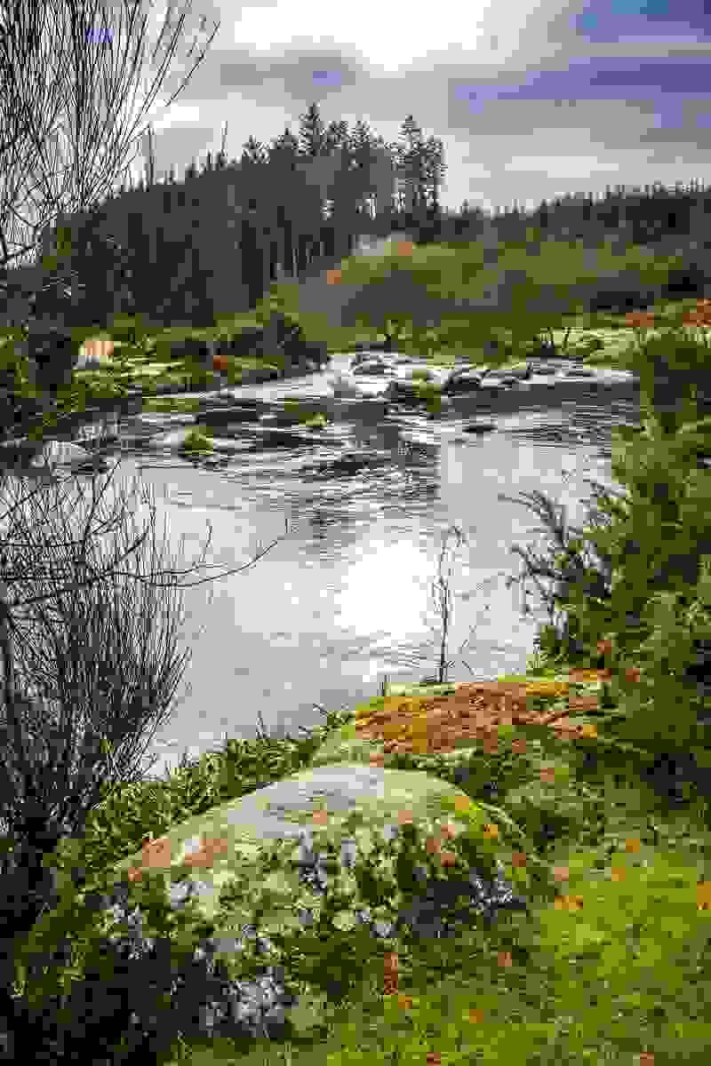 Section image