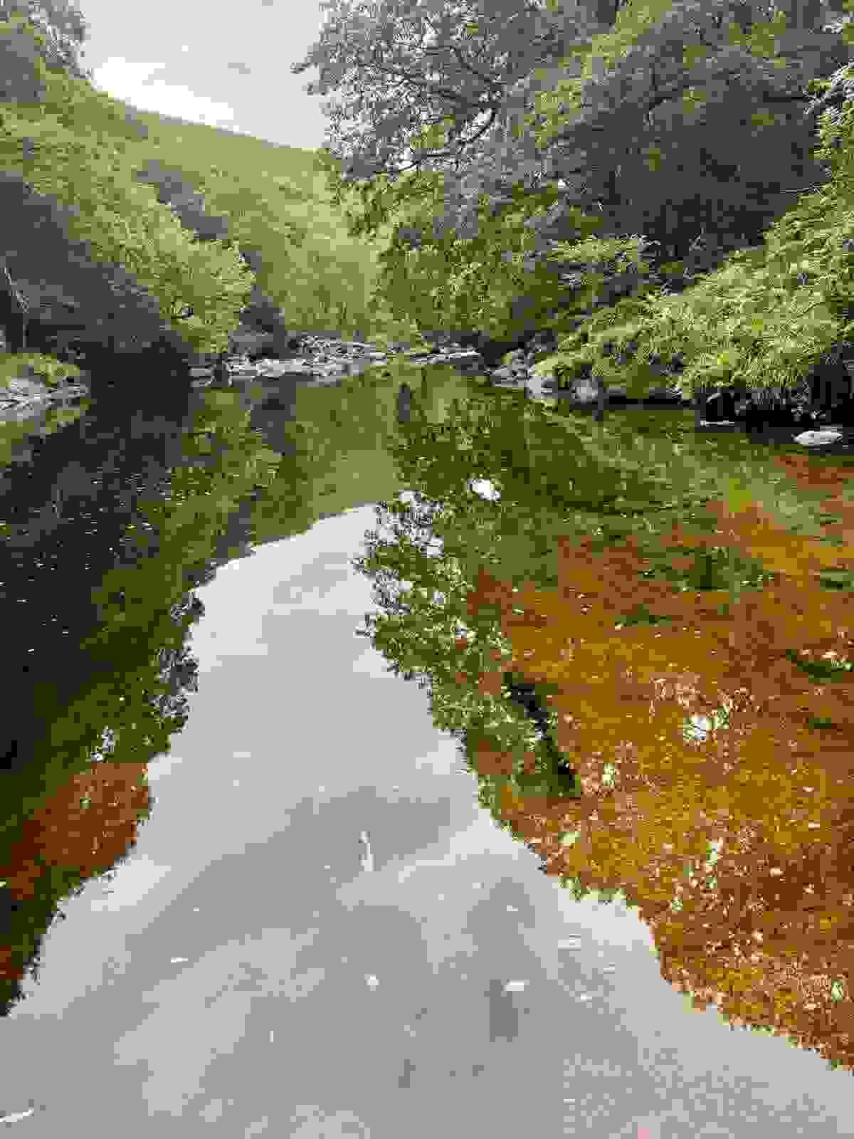 Section image