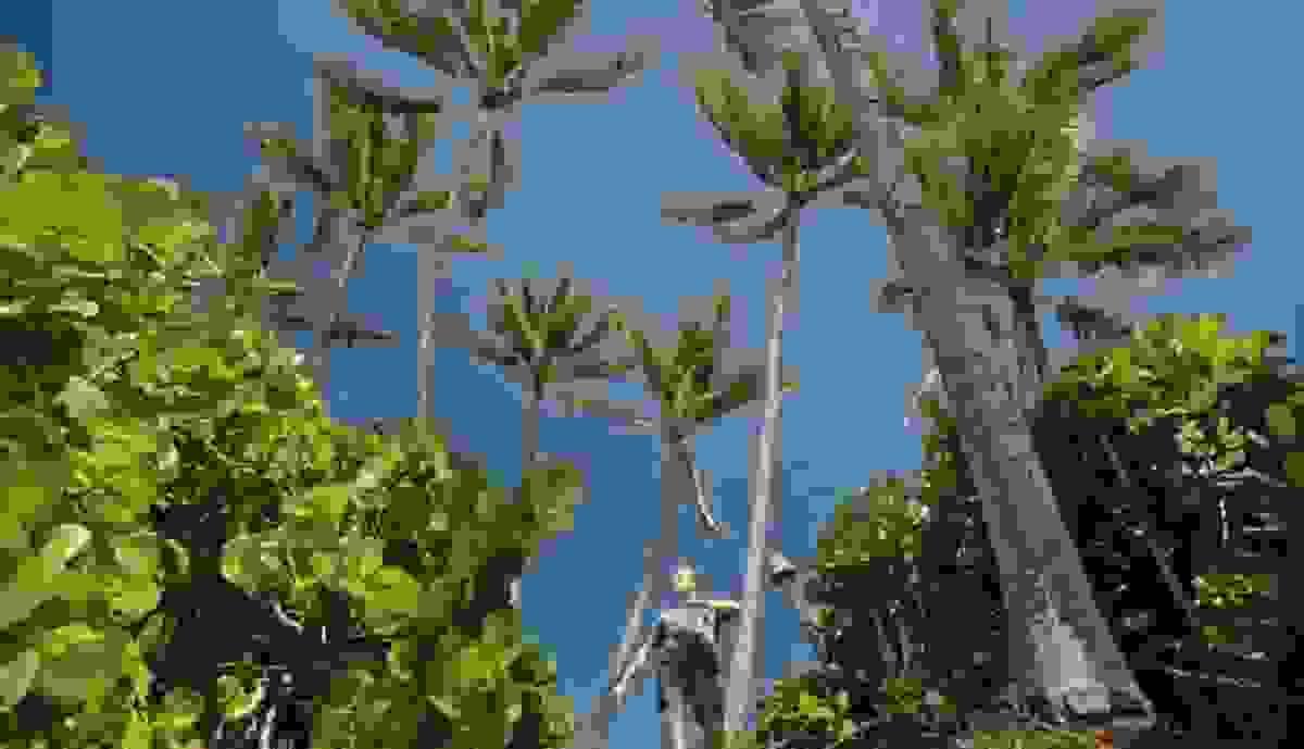 Section image