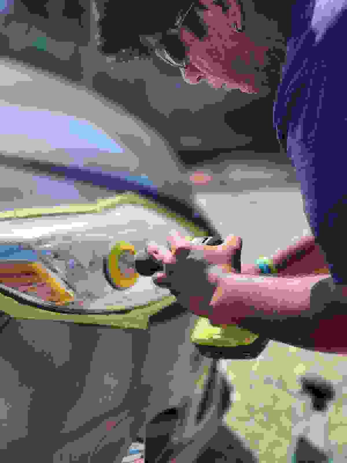 mobile headlight restoration carencro la