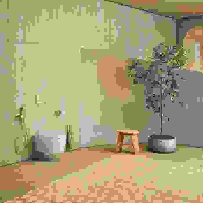 broken image