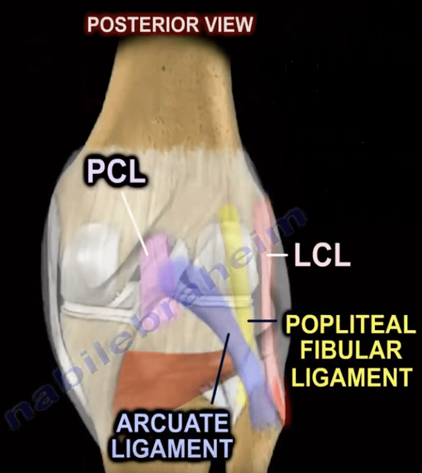 The Dial Test - Knee Knee Injury Nabil Orthopedics Heal...