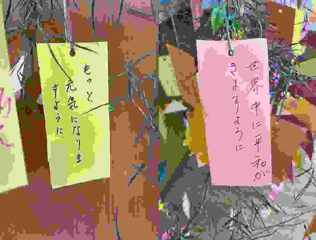 broken image
