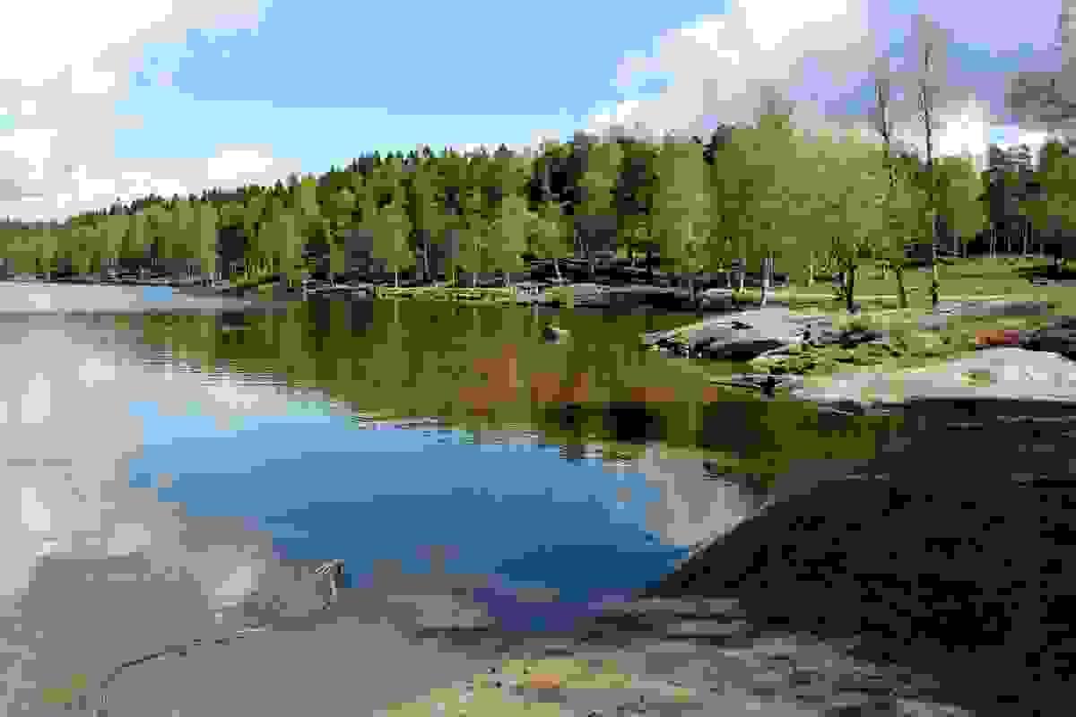 Section image