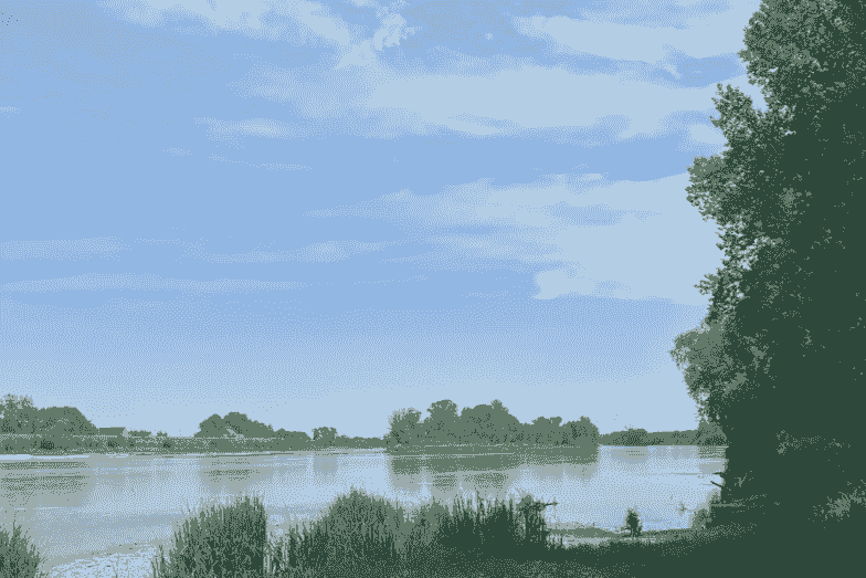 Section image