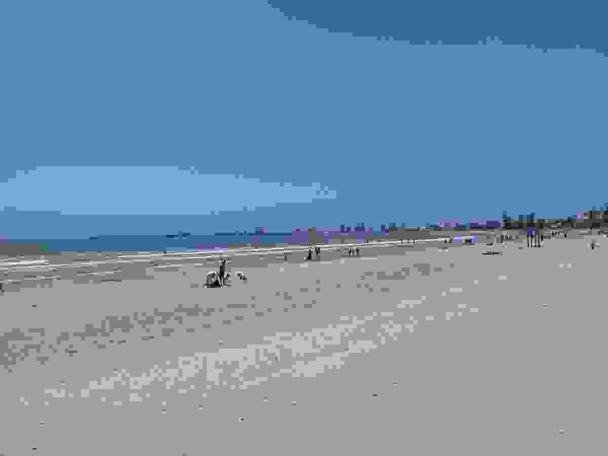 Section image