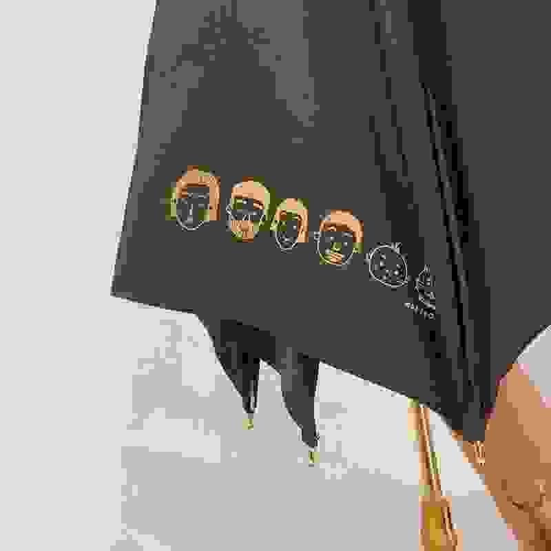 broken image