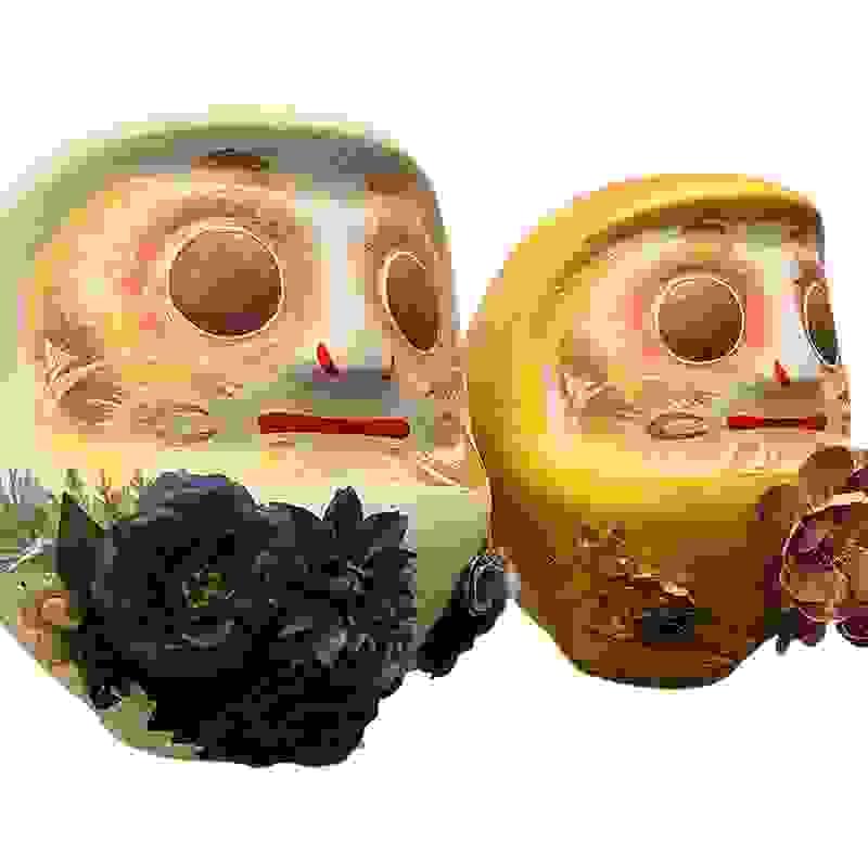 broken image