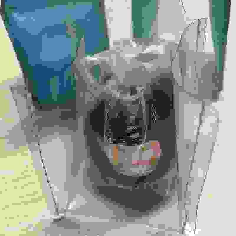 broken image