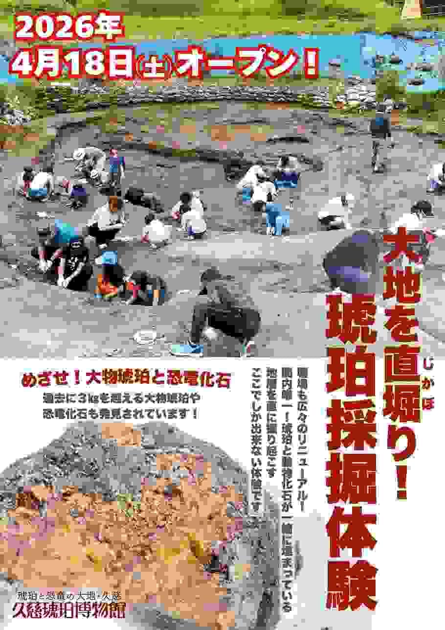 化石採掘体験