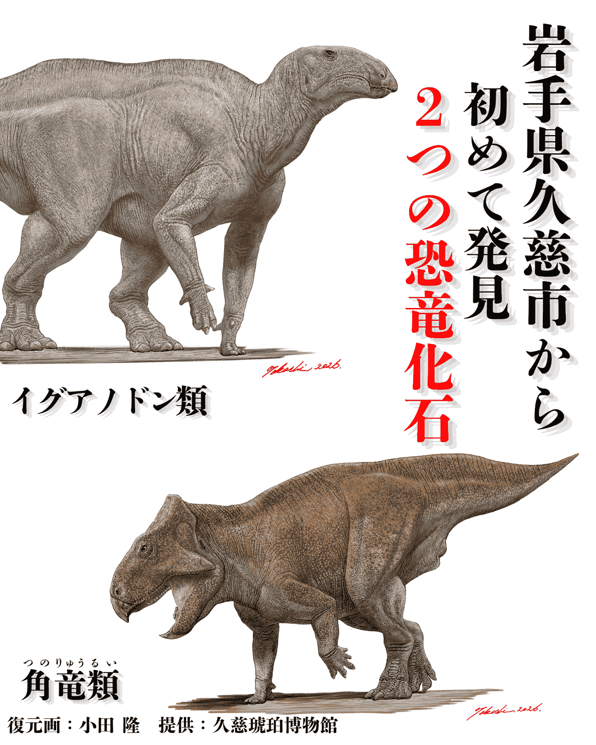 特別恐竜化石展示会
