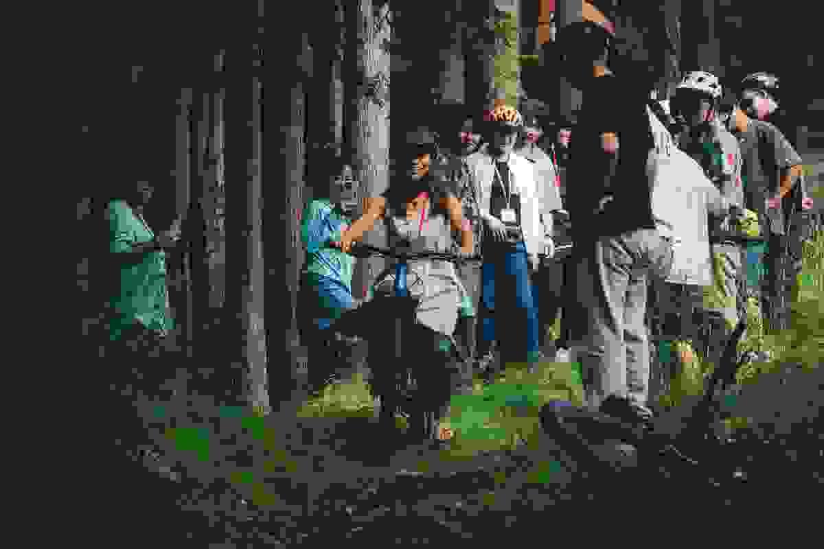 Section image