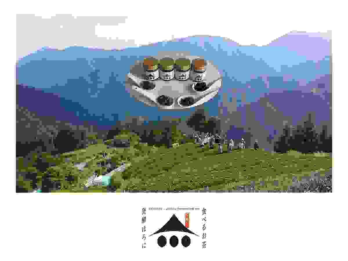 Section image