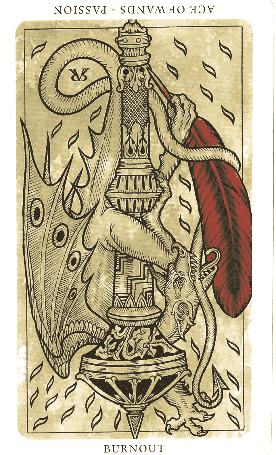 Section image