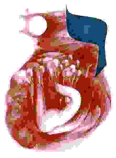 Section image