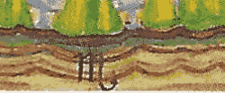 broken image