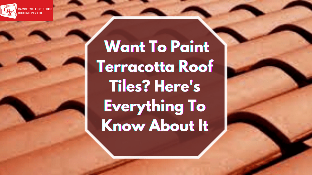 Want To Paint Terracotta Roof Tiles? Here's Everything