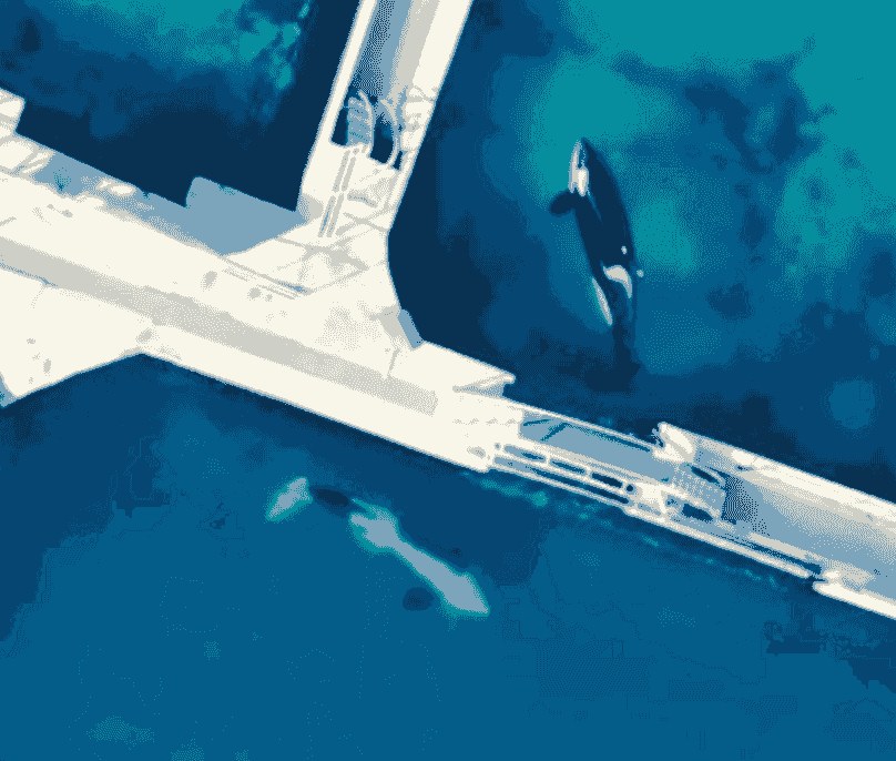 Section image
