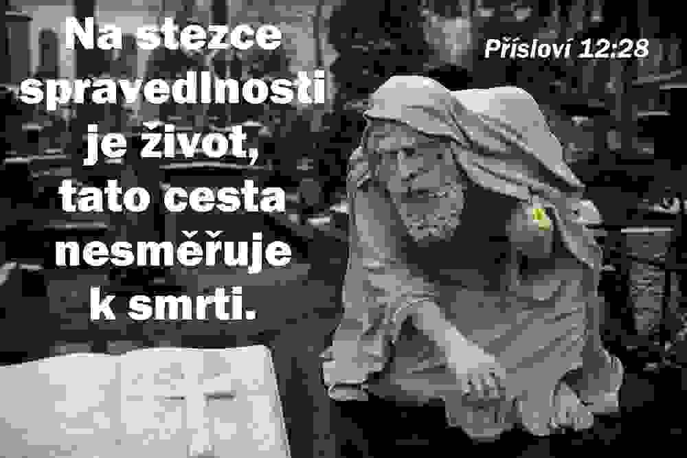 Section image