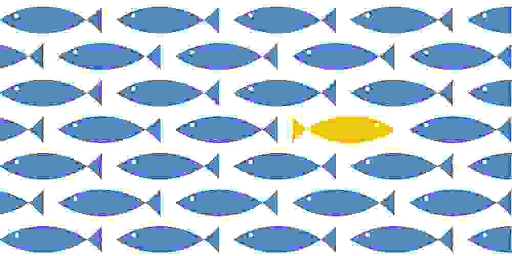 Section image