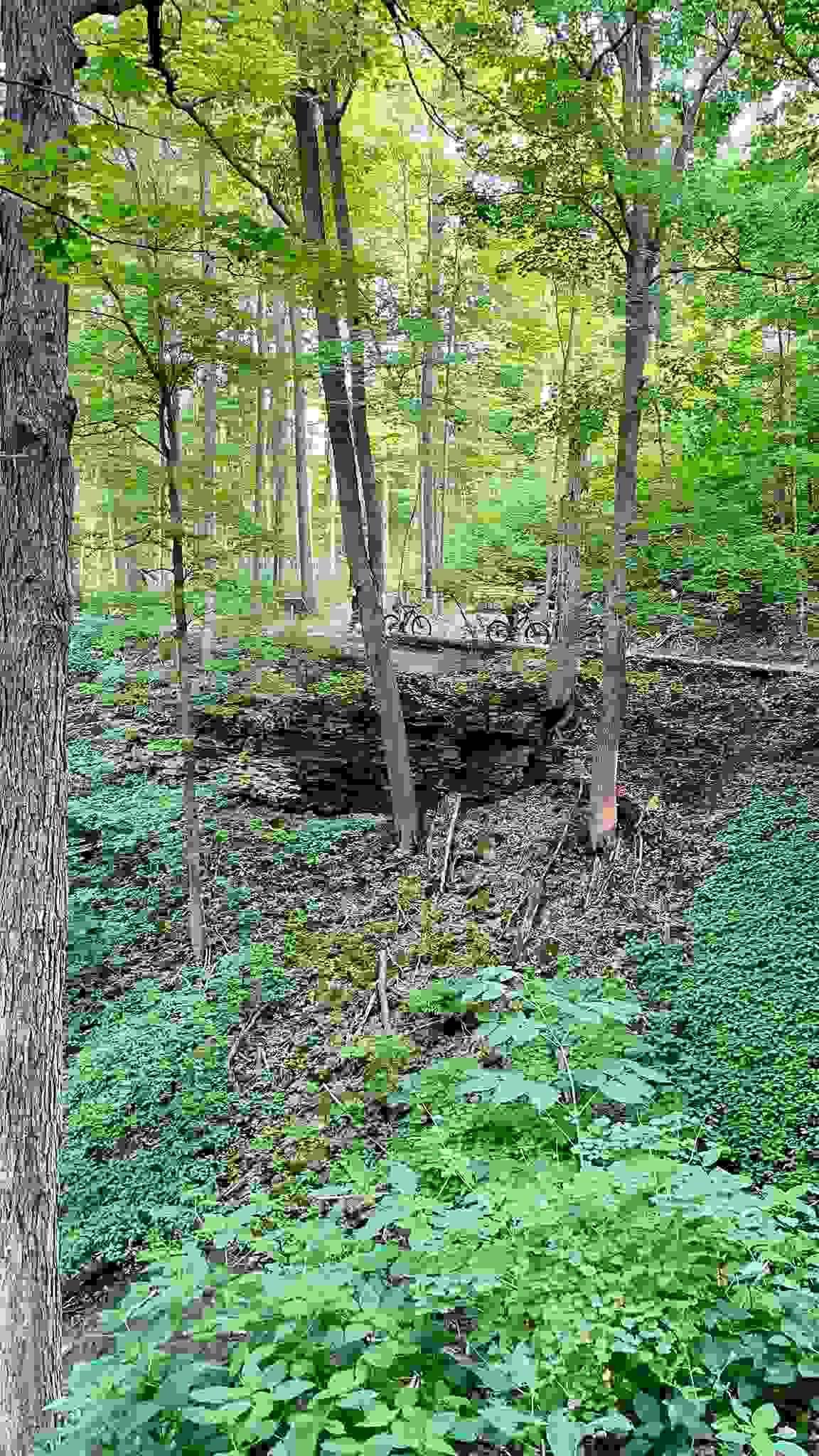 Join our events that combine biking and music, fostering a vibrant community of like-minded riders. Community Events What We Offer Website for promoting mountain bike music Join our events that combine biking and music, fostering a vibrant community of like-minded riders. Community Events What We Offer Website for promoting mountain bike music