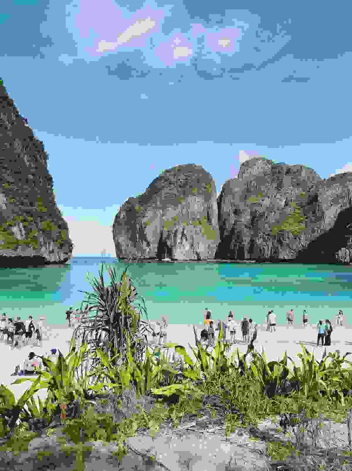 Section image