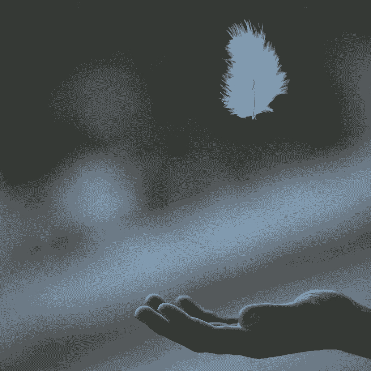 butterfly hovering above hand butterfly hovering above hand
