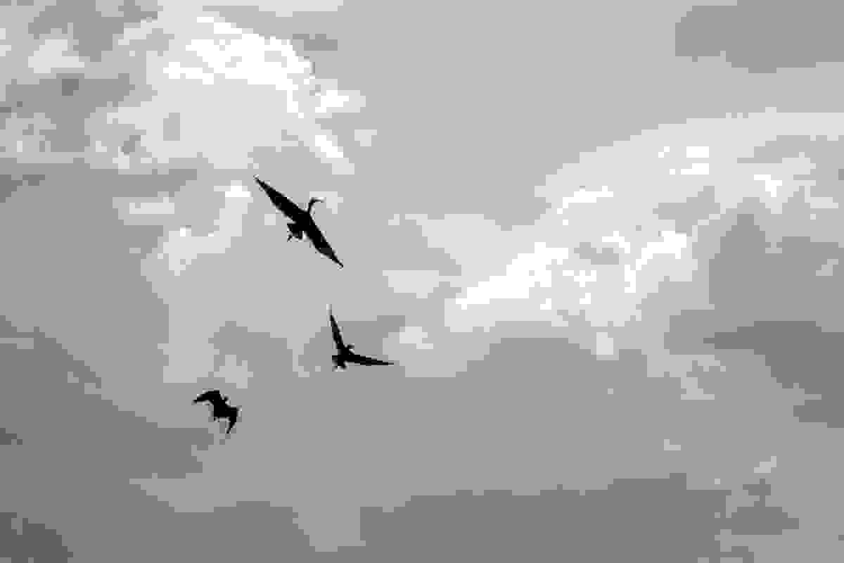 broken image